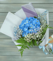 Рождественский краш