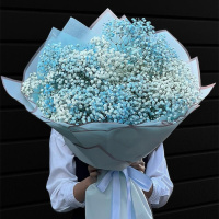 51 голубой гипсофилы