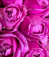 Букет_Малиновый рай