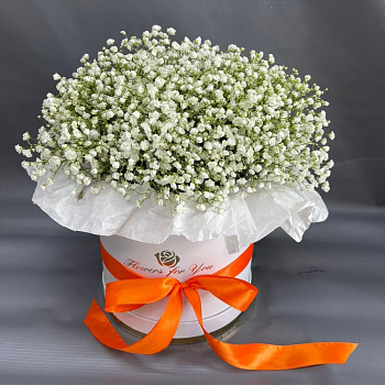 Белая гипсофила в коробке