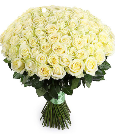 25 белых роз в сетке 70 см