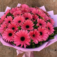 Букет_Летний букет из розовых гербер