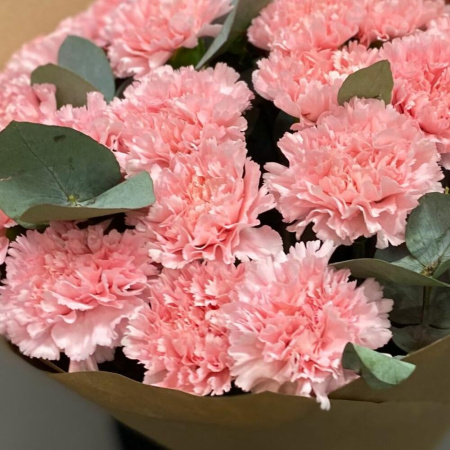 Букет_25 розовых гвоздик и эвкалипта