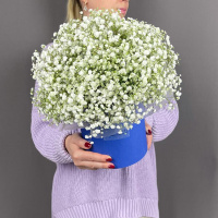 Композиция из белой гипсофилы в шляпной коробке