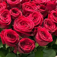 Букет_101 бордовая роза Премиум