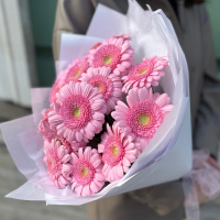 Букет_Гербера розовая 19 шт